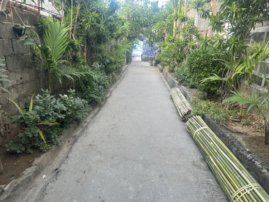 Shorebreak Hostel pathway to shore