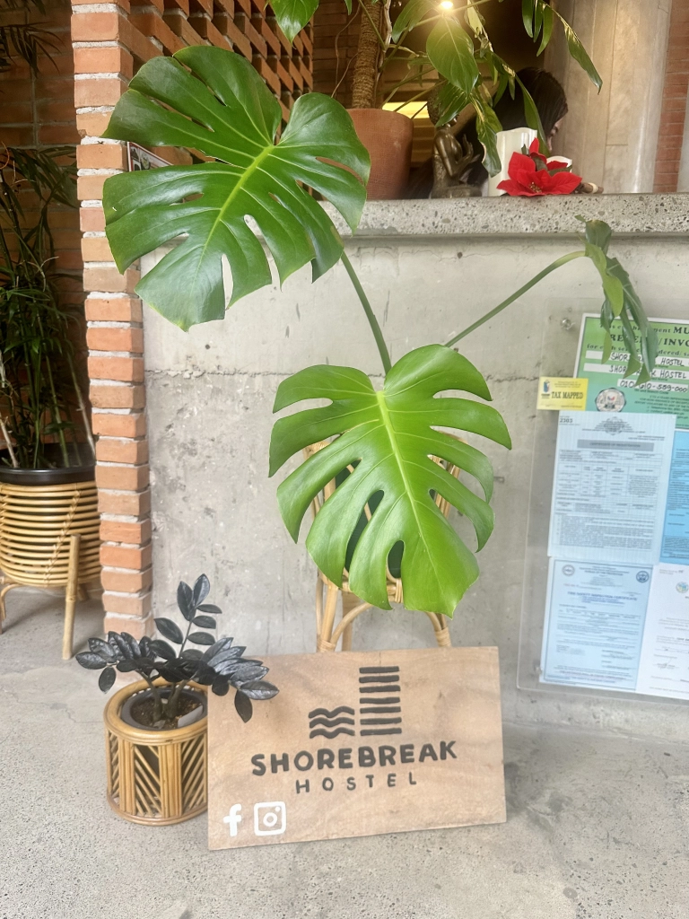 Shorebreak Hostel socials