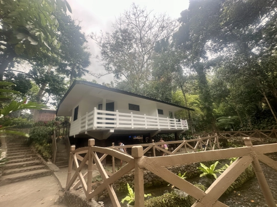 Mangrove Resort Hotel - Accommodation 2