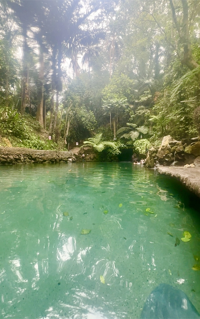 Mangrove Resort Hotel - Cave