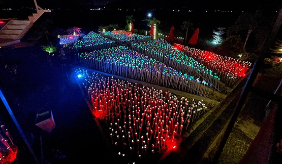 Scenery overlooking garden of led light roses