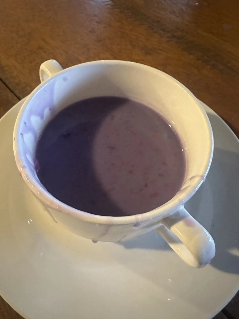 Sofia's Lake - Ube Champorado