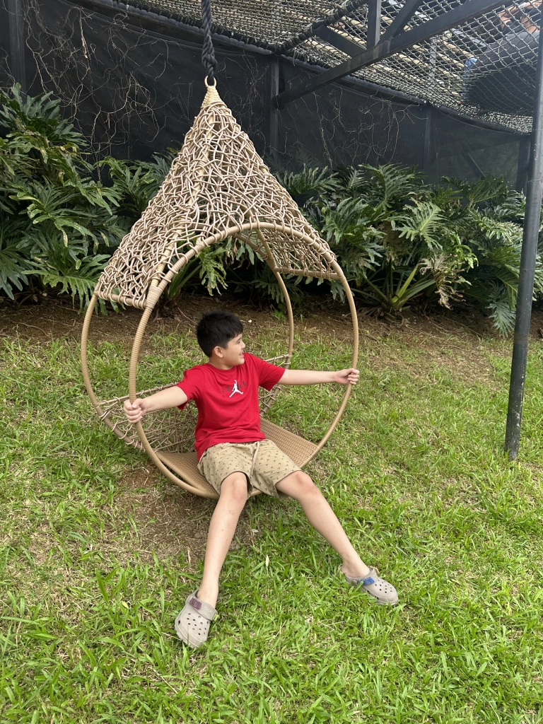 Sofia's Lake - Swing