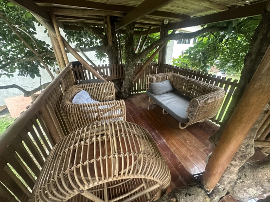 Sofia's Lake - Tree house inside