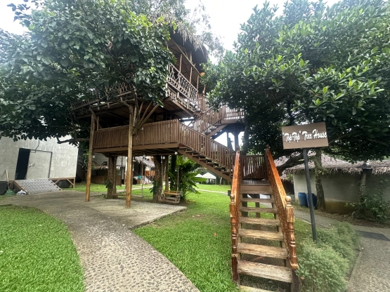Sofia's Lake - Tree house outside